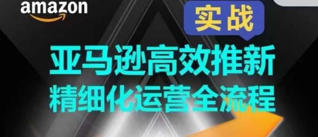 亚马逊高效推新精细化运营全流程，全方位、快速拉升产品排名和销量!-51云资源