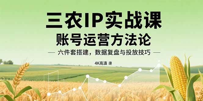(15864期)三农IP实战课:账号运营方法论,六件套搭建,数据复盘与投放技巧