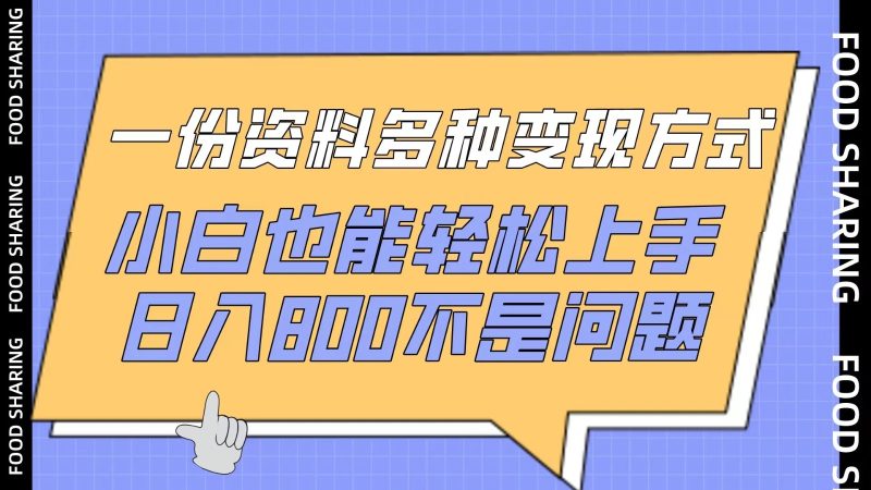 一份资料多种变现方式，小白也能轻松上手，日入800不是问题-51云资源