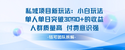 私域项目新玩法小白玩法单人单日突破1k的收益人群质量高付费意识强-51云资源