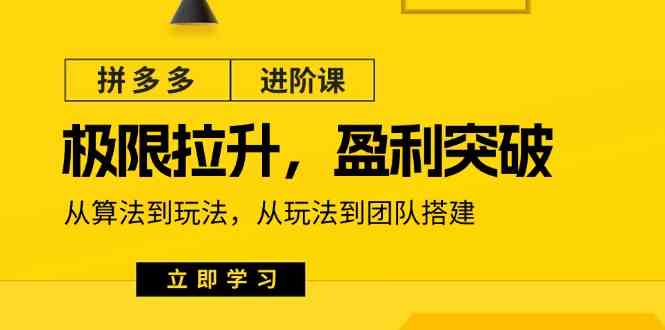拼多多进阶课：极限拉升/盈利突破：从算法到玩法 从玩法到团队搭建（18节）-51云资源