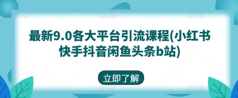 最新9.0各大平台引流课程(小红书快手抖音闲鱼头条b站)-51云资源
