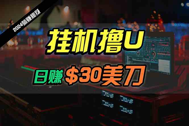（10013期）日赚30美刀，2024最新海外挂机撸U内部项目，全程无人值守，可批量放大-51云资源