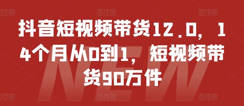 抖音短视频带货12.0,14个月从0到1,短视频带货90万件-51云资源