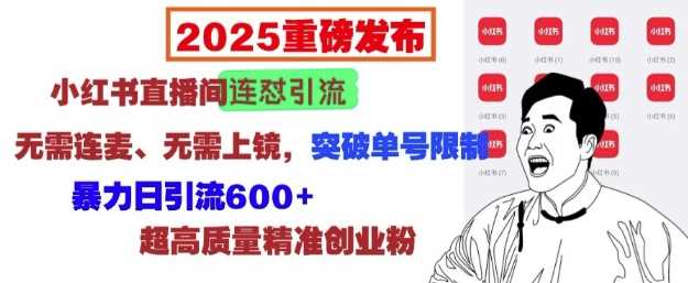 2025重磅发布:小红书直播间连怼引流,无需连麦、无需上镜,突破单号限制,暴力日引流600-51云资源