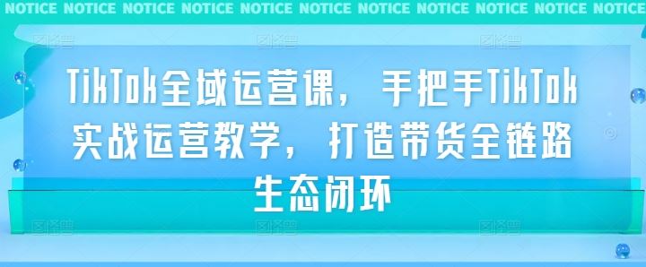 TikTok全域运营课，手把手TikTok实战运营教学，打造带货全链路生态闭环-51云资源
