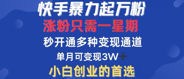 快手暴力起万粉，涨粉只需一星期，多种变现模式，直接秒开万合，单月变现过W【揭秘】-51云资源