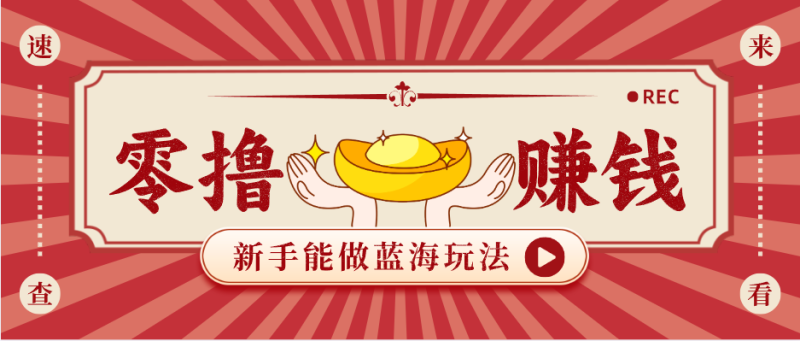 新手也能变现的蓝海玩法，一个人人能做的项目，需求量极大日入300 ！-51云资源