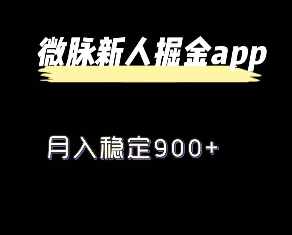 最新微脉长久项目,拉新掘金,月入稳定900-51云资源