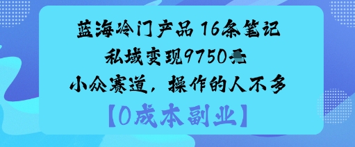蓝海冷门产品:16条笔记私域变现9750米小众赛道,操作的人不多-51云资源