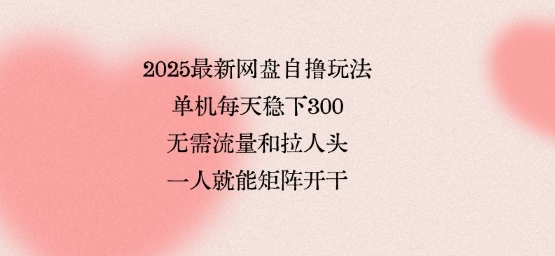 2025最新网盘自撸玩法，单机每天稳下3张，无需流量和拉人头，一个人就可轻松矩阵，全网独一份【揭秘】-51云资源