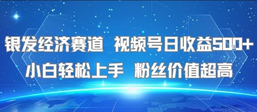 银发经济赛道 视频号日收益5张  小白轻松上手 粉丝价值超高-51云资源