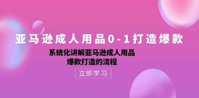 (10493期)亚马逊成人用品0-1打造爆款:系统化讲解亚马逊成人用品爆款打造的流程