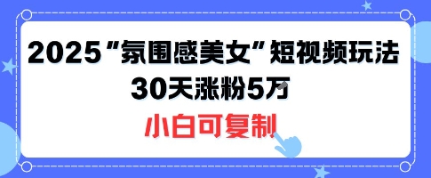 不露脸也能火!2025“氛围感美女”短视频玩法,30天涨粉5W小白可复制-51云资源
