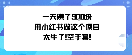 一天挣了9张用小红书做这个项目太牛了，空手套-51云资源