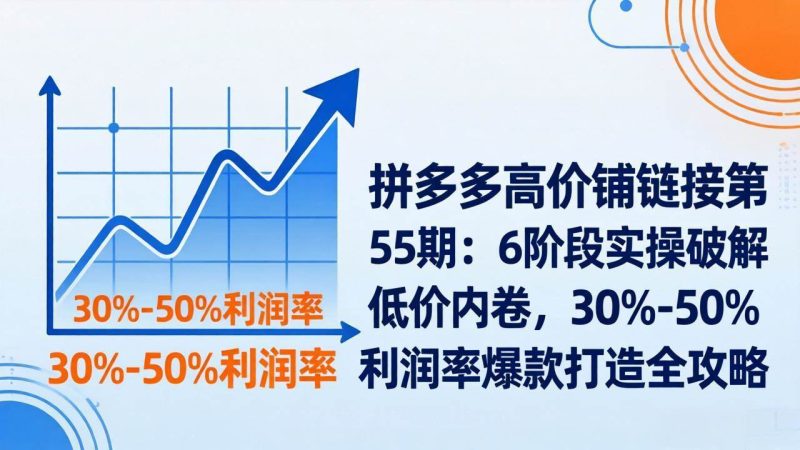 (17698期)拼多多高价铺链接第55期:6阶段实操破解低价内卷,30%-50%利润率爆款打造全攻略-51云资源