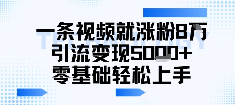 一条视频就涨粉8W引流变现5k ，0基础项目轻松上手-51云资源