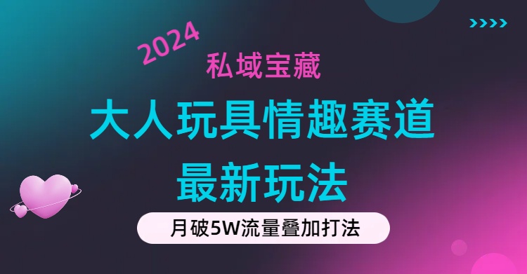 （11541期）私域宝藏：大人玩具情趣赛道合规新玩法，零投入，私域超高流量成单率高-51云资源