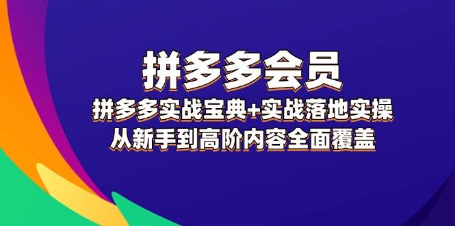 （12056期）拼多多 会员，拼多多实战宝典 实战落地实操，从新手到高阶内容全面覆盖-51云资源