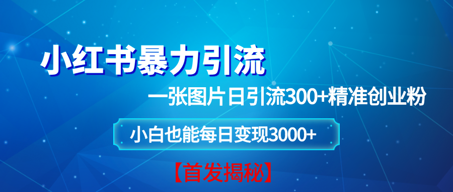 （13935期）小红书暴力引流法，一张图片日引 300 精准创业粉，每日稳定变现 3000 【揭秘】-51云资源