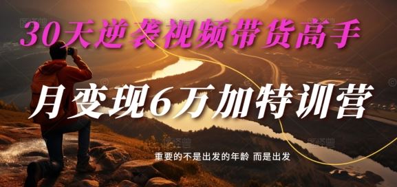 30天逆袭视频带货高手,单月变现6万加特训营-麦子甜-51云资源