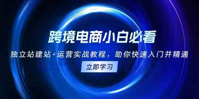 跨境电商小白必看！独立站建站 运营实战教程，助你快速入门并精通-51云资源