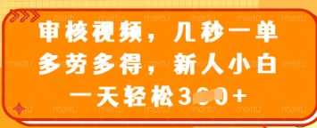 审核视频,几秒一单,多劳多得,新人小白一天轻松3张【揭秘】-51云资源
