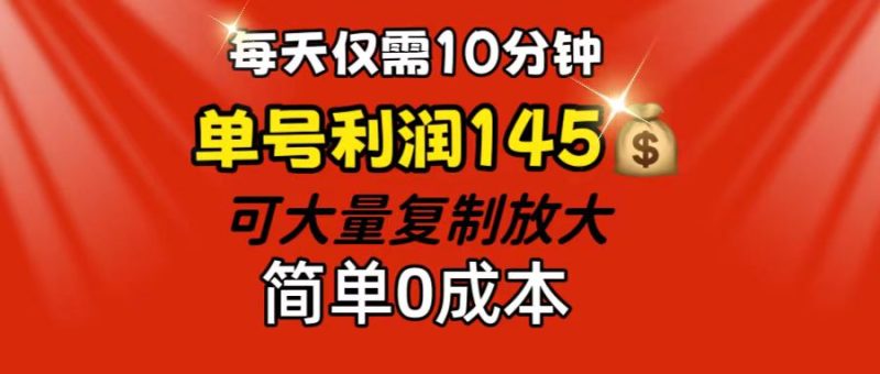 （12027期）每天仅需10分钟，单号利润145 可复制放大 简单0成本-51云资源