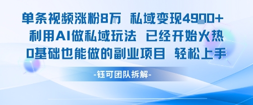 单条视频私域变现4.9k 利用AI做私域玩法 已经开始火热0基础也能做的副业项目轻松上手-51云资源