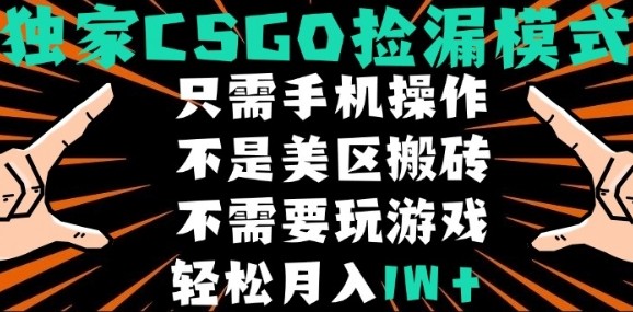 CSGO自动捡漏项目，最新独家玩法，不是美区搬砖，不需要了解和玩游戏，新手小白轻松月入1W 【揭秘】-51云资源