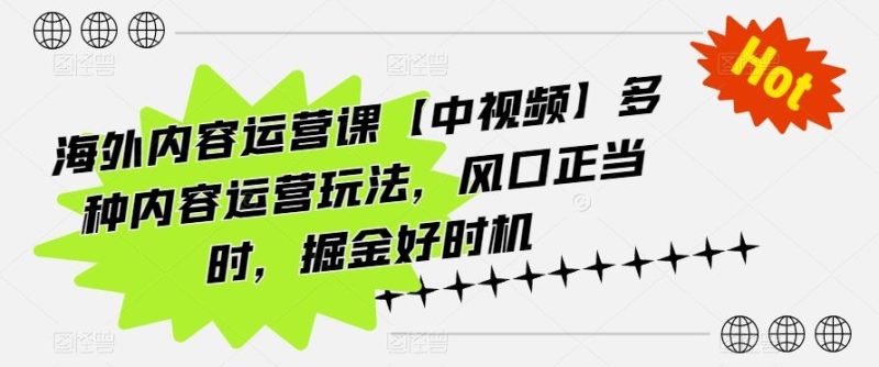 海外内容运营课【中视频】多种内容运营玩法,风口正当时,掘金好时机-51云资源