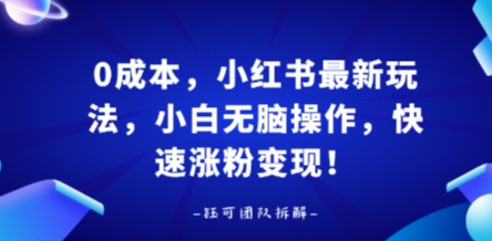 0成本，小红书最新玩法，小白无脑操作，快速涨粉变现-51云资源