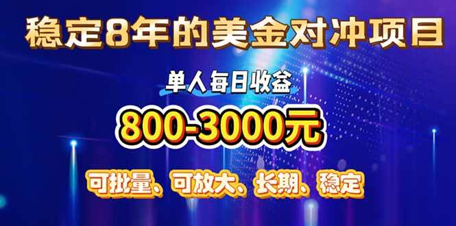 （15782期）稳定8年的美金对冲创业项目，单人每日收益800-3000，小众暴力项目-51云资源