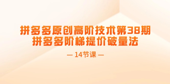 （11704期）拼多多原创高阶技术第38期，拼多多阶梯提价破量法（14节课）-51云资源