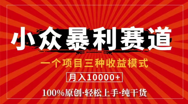 (11695期)视频号【中老年粉深信不疑】小众赛道 100%原创 手把手教学 新号3天收益…-51云资源