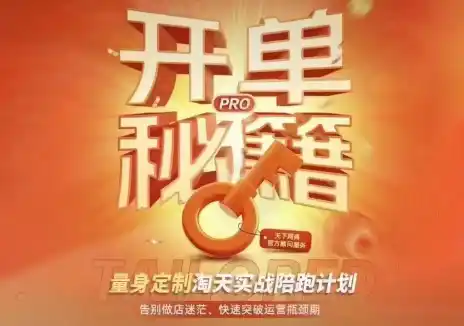天下网商·淘宝天猫陪跑计划(更新10月)-51云资源