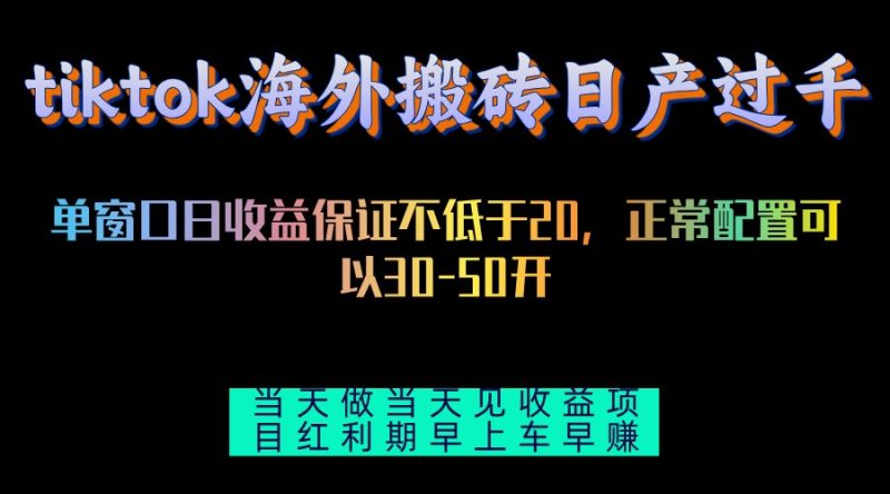 （13079期）tiktok海外搬砖项目单机日产过千当天做当天见收益-51云资源