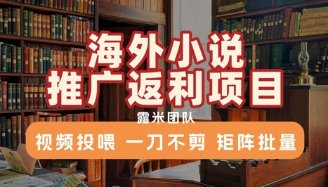 海外小说推广返利项目，视频投喂， 一刀不剪，矩阵批量-51云资源