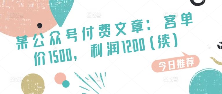 某公众号付费文章：客单价1500，利润1200(续)，市场几乎可以说是空白的-51云资源