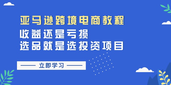 （11432期）亚马逊跨境电商教程：收益还是亏损！选品就是选投资项目-51云资源