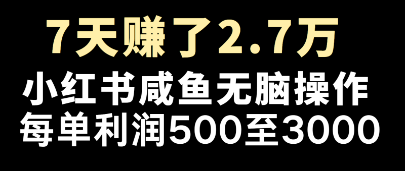 冷门暴利，超级简单的项目0成本玩法，每单在500至4000的利润-51云资源