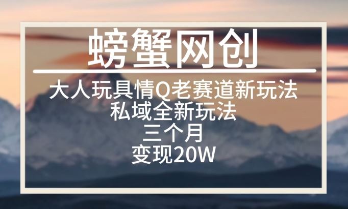 大人玩具情Q用品赛道私域全新玩法，三个月变现20W，老项目新思路【揭秘】-51云资源
