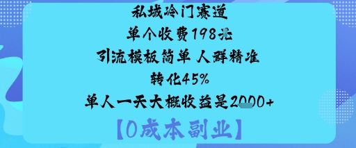 私域冷门赛道:单个收费198米引流模板简单人群精准转化45%单人一天大概收益是1k-51云资源