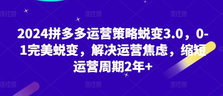 2024拼多多运营策略蜕变3.0,0-1完美蜕变,解决运营焦虑,缩短运营周期2年