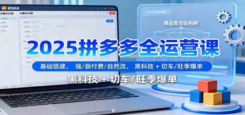 2025拼多多全运营课：基础搭建，强/弱付费/自然流，黑科技   切车/旺季爆单-51云资源