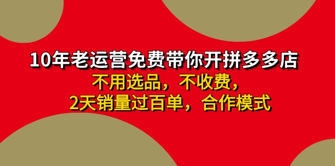 （11576期）拼多多-合作开店日入4000 两天销量过百单，无学费、老运营教操作、小白…-51云资源