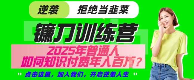 【网创项目终点站-镰刀训练营超级IP合伙人】25年普通人如何通过知识付费实现逆袭【揭秘】-51云资源