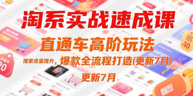(15374期)淘系实战速成课,直通车高阶玩法,搜索流量提升,爆款全流程打造(更新7月)