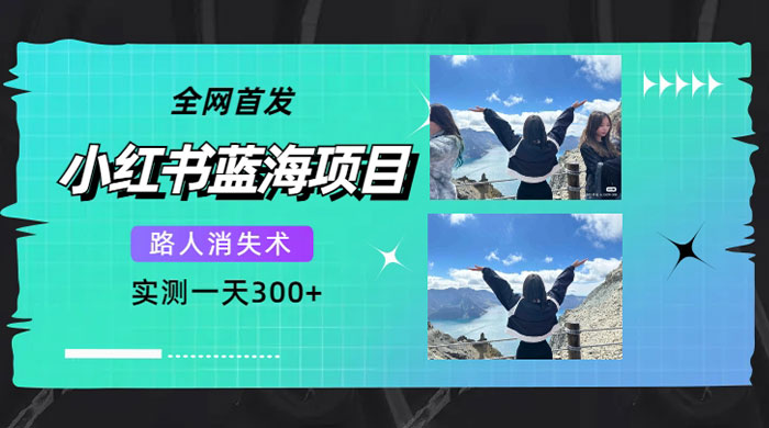小红书蓝海项目，路人消失术，实测一天 300-51云资源