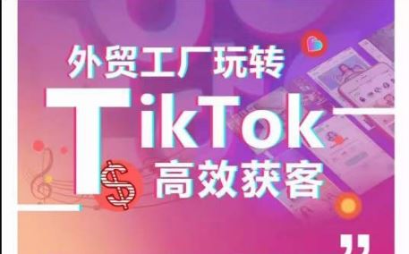 外贸工厂玩转TikTok高效获客，多种引流方式与账号定位技巧，拆解爆款短视频打造成功案例-51云资源